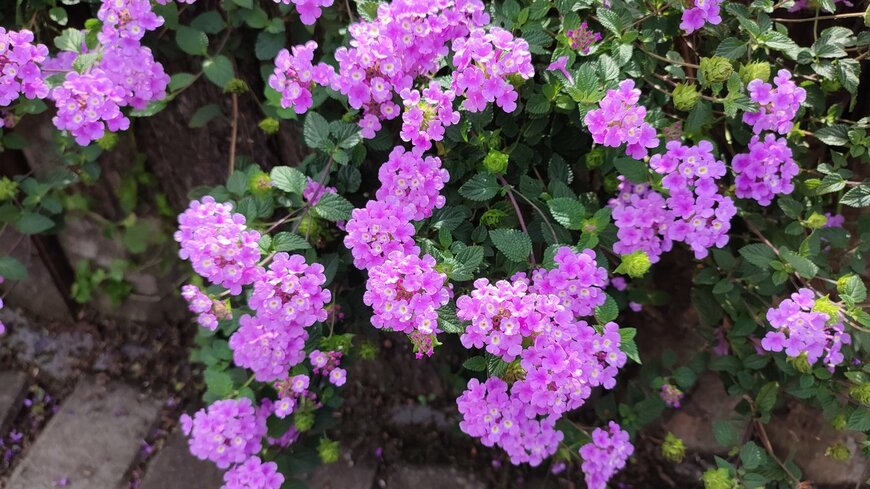 Dea Indah Purnama/istockphoto.com