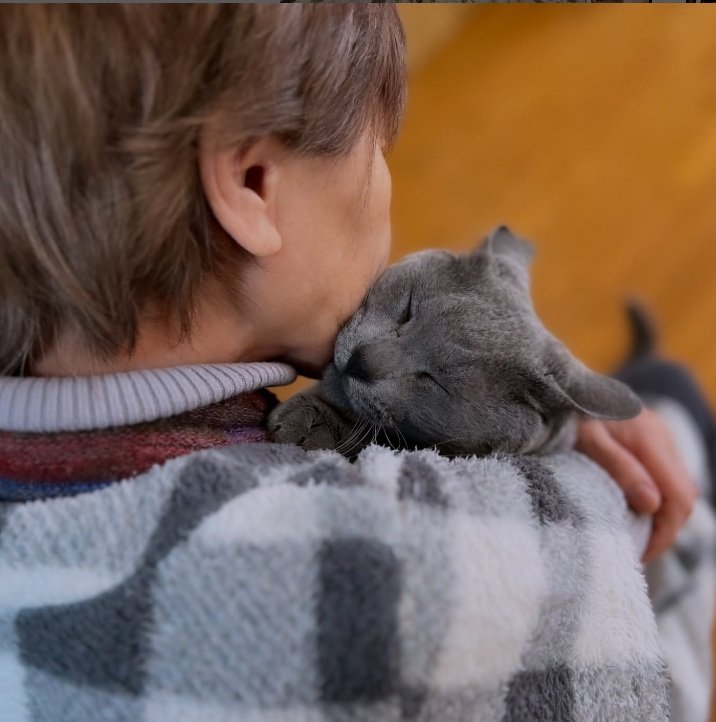 出所：@ba_chantolatte