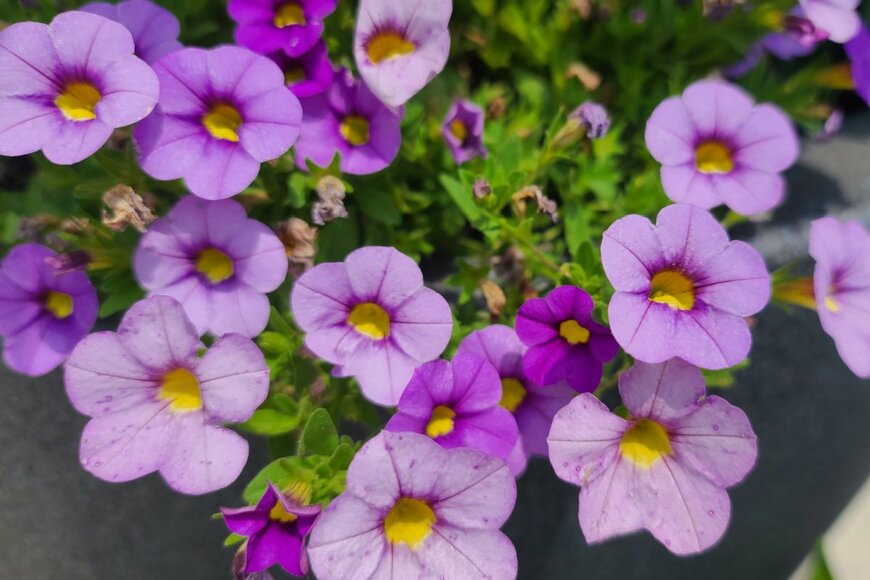 J K Laws/shutterstock.com