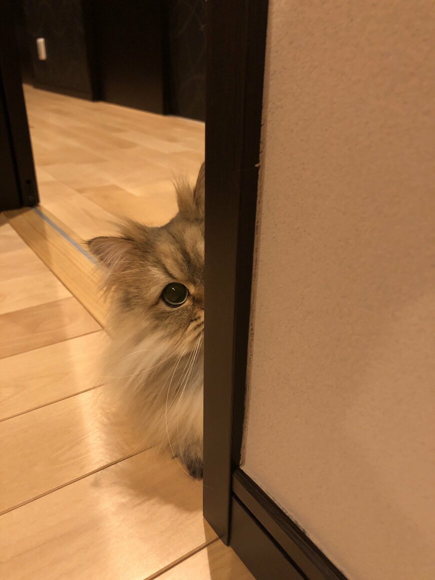 出所：@UphQepCv8J