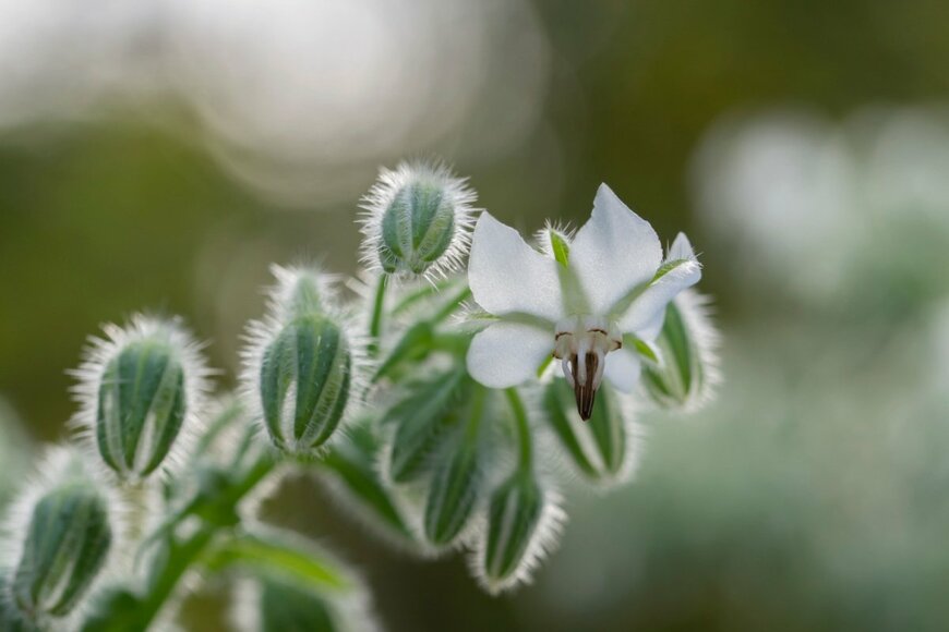A.Luna/shutterstock.com