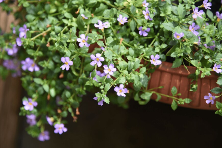 photoPOU/shutterstock.com