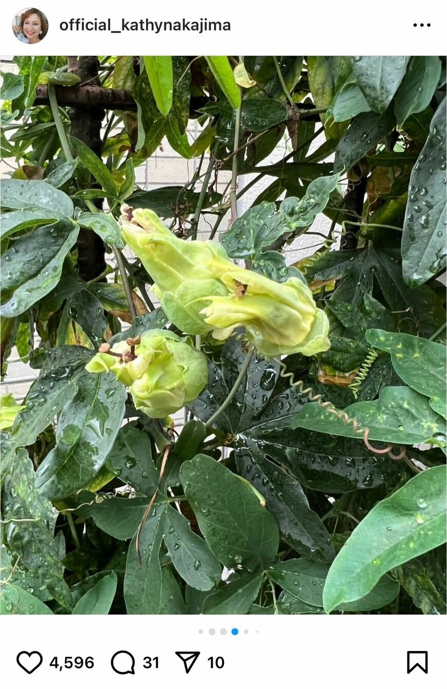 出所：キャシー中島のInstagram（＠official_kathynakajima）参照日：2025年7月2日