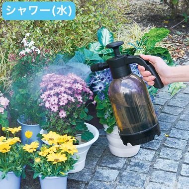 画像出所：ニトリ公式通販ニトリネット