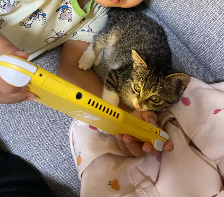 保護子猫に自作ゲームを見せる4歳児、その後の展開があまりにも愛らしくてホッコリ