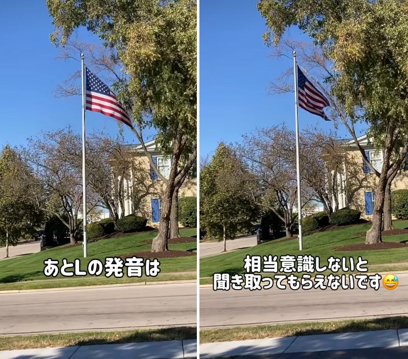 投稿の画像