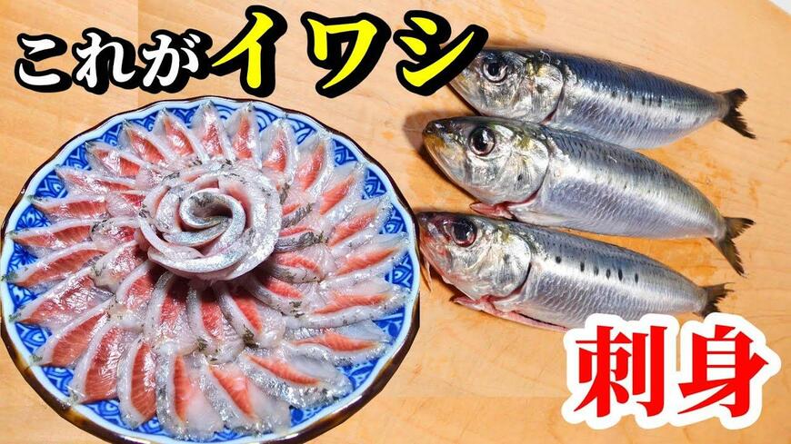 美しいイワシの盛り付け