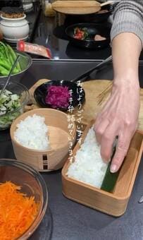 盛り付けが美しすぎる【鯖を焼いただけ弁当】彩り鮮やか！豪華なお弁当に称賛の声