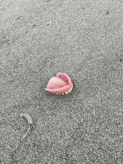 投稿の画像