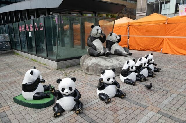 御徒町で「滝行するパンダ」に遭遇　豪雨で微笑むパンダとの「ギャップ」から目が離せなくなる