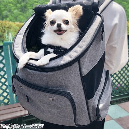 ペットが誤って飛び出すのを防ぐ、安全バックル・自動ロック式ファスナー付き