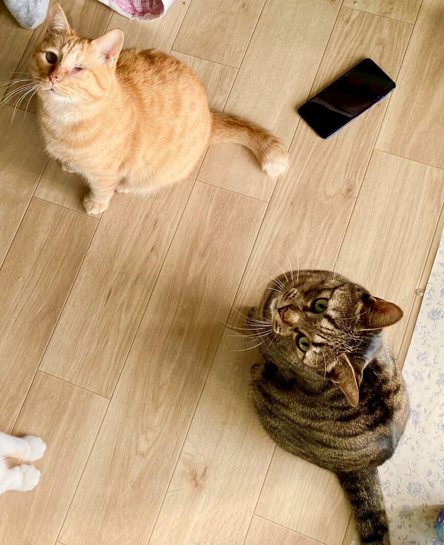 出所：@luna7taka9