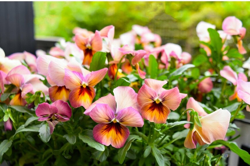 syan/istockphoto.com