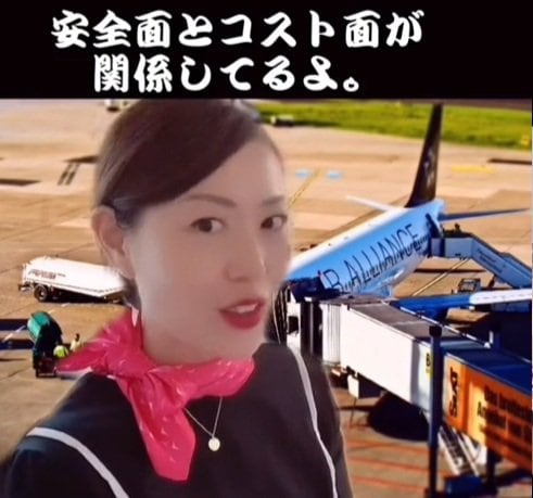 出所：akko_san_dayo「飛行機に白い機体が多い理由」