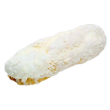 出所：デイリーヤマザキ「新商品」