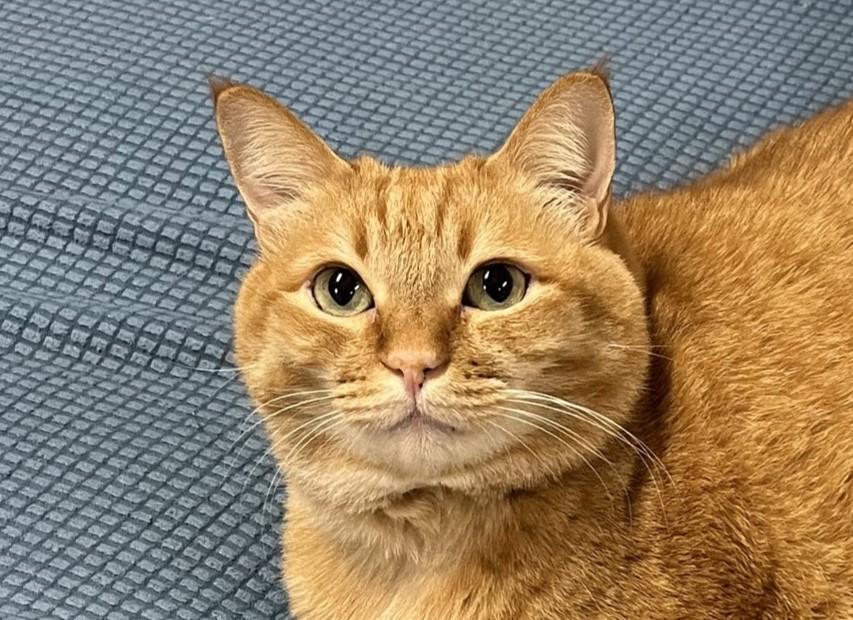 出所：@kagisuzu0531