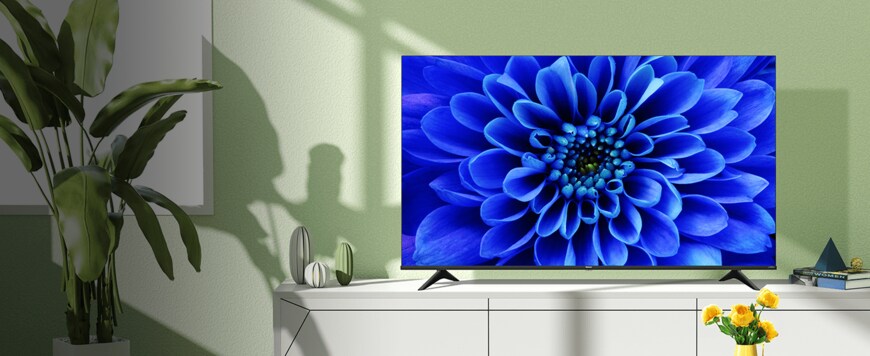 出所：ハイセンスジャパン「65E6G」