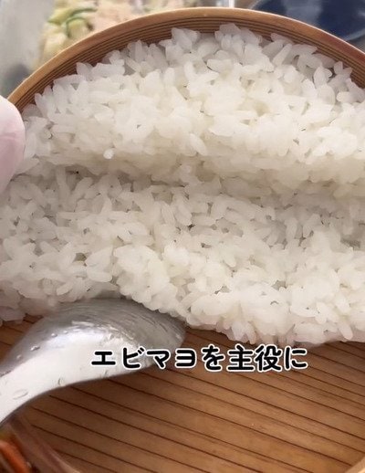 【エビマヨ弁当】美しすぎる盛り付けに注目！彩り豊かな見た目に「綺麗で美味しそう」の声