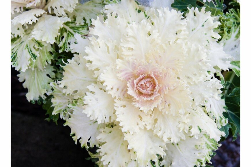 jatrax/istockphoto.com