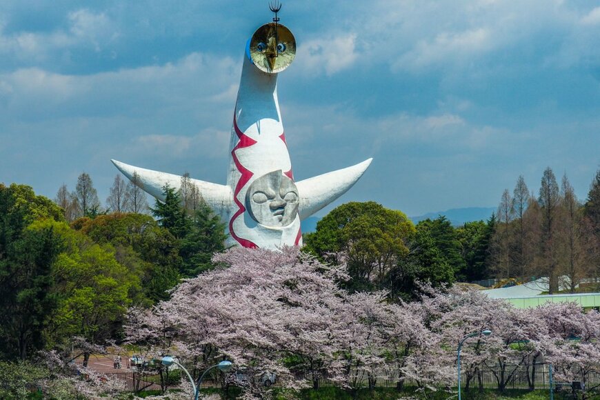 Daniel De Petro/shutterstock.com