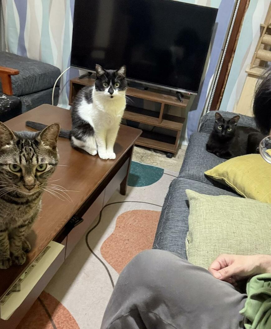 出所：@00shitemita