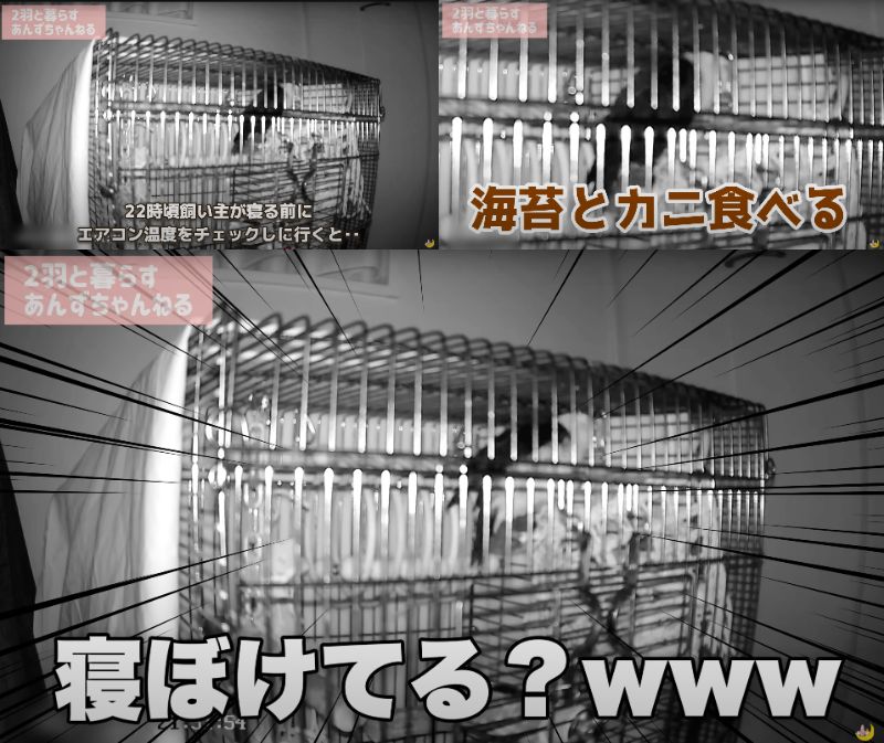 出所：@anz_omomiri