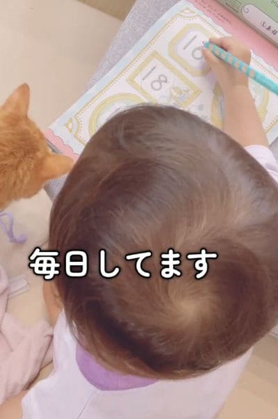 出所：@miko_nekoneko