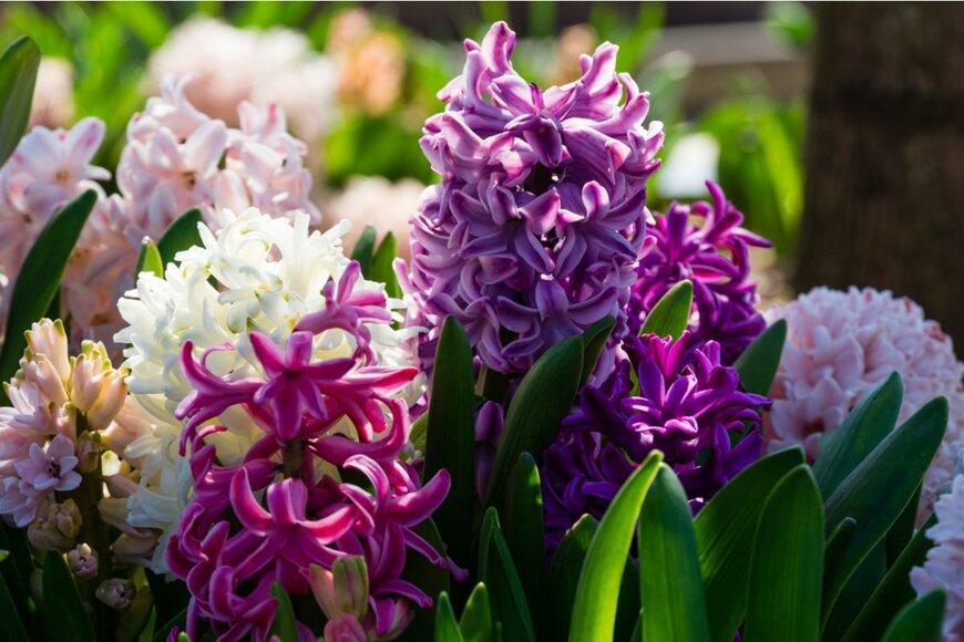 Marinodenisenko/shutterstock.com