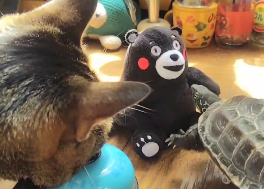 出所：@Mh0MLiErcV8E97C