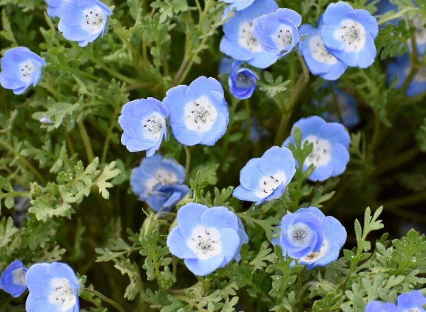 doroninanatalie4/shutterstock.com