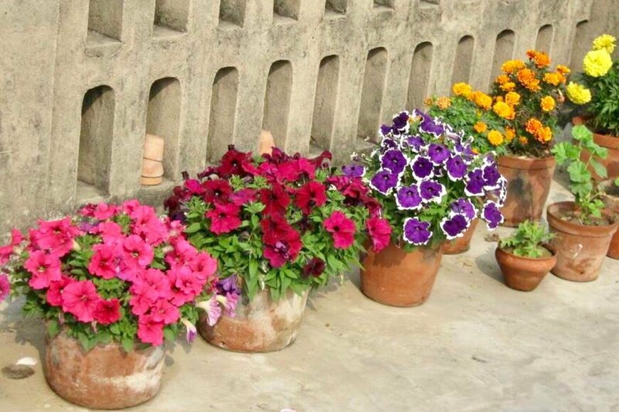 I'm Subrata Dutta. My hobbies are photography and arts. I try to submit my best creative works./istockphoto.com