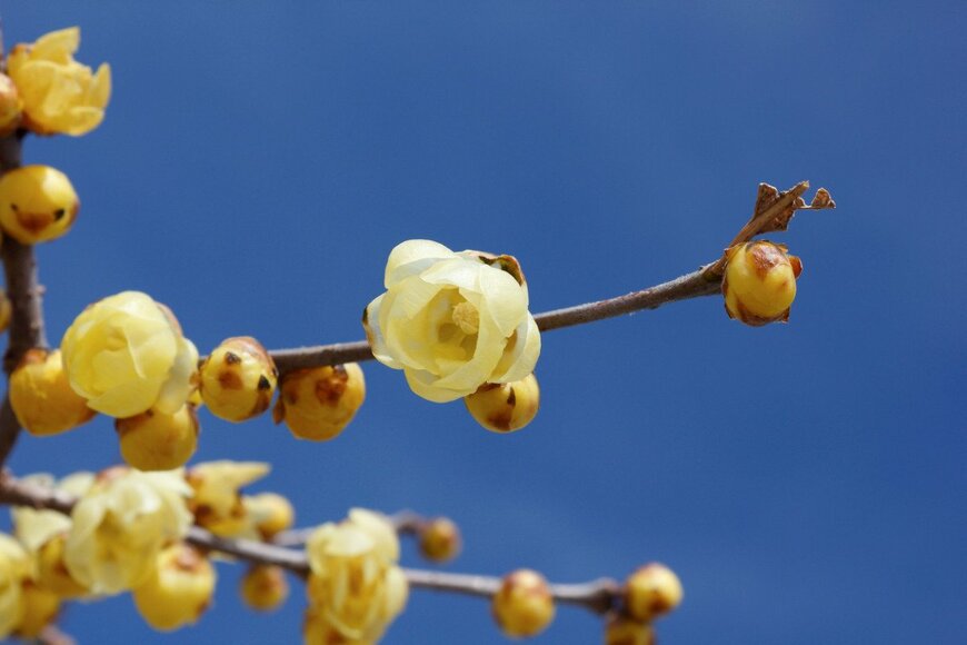 Tsukamoto Kazuhiro/istockphoto.com