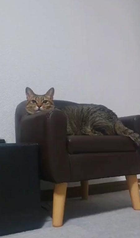 出所：@Mh0MLiErcV8E97C