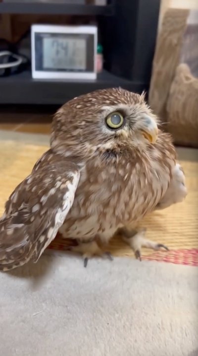 出所：@cr8673.hiro