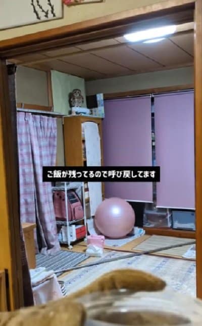 出所：@mori_luna_tawny_owl