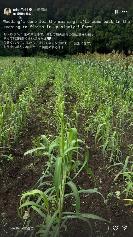 出所：ローラのInstagramストーリーズ（＠rolaofficial）参照日：2025年8月19日