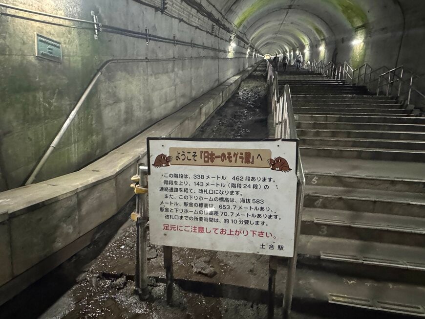 ようこそ「日本一のモグラ駅」へ