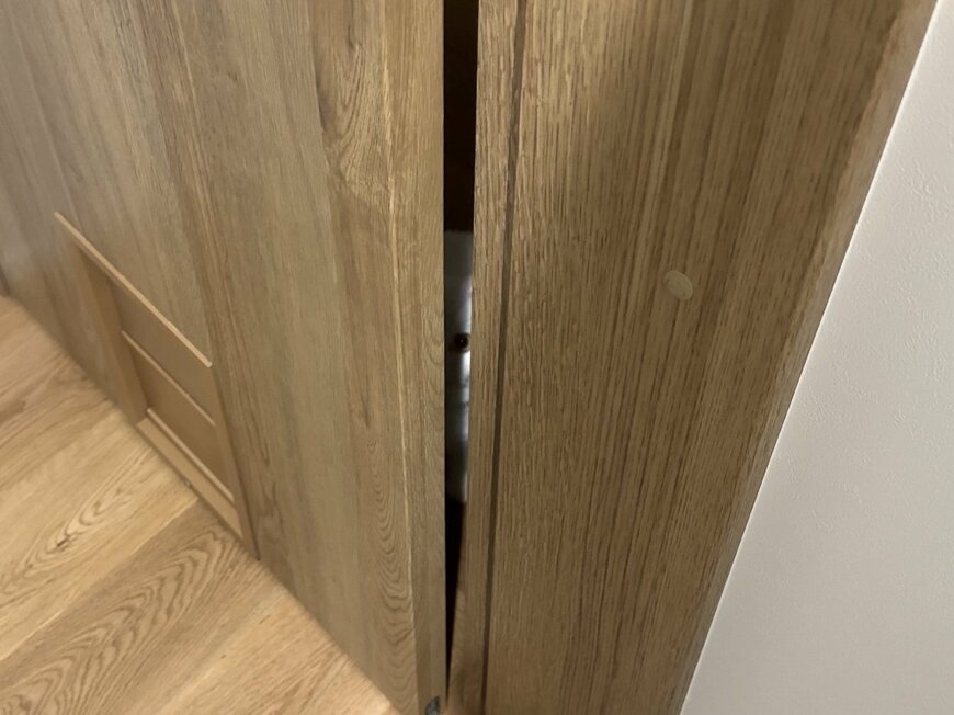 ドアの向こうの猫