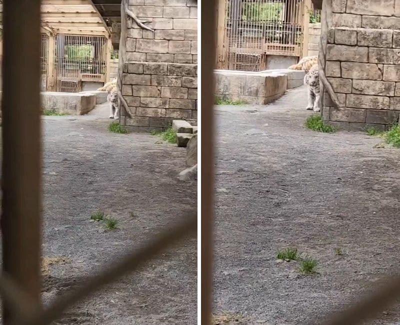 東武動物公園