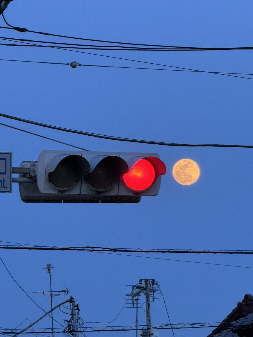 信号機と月