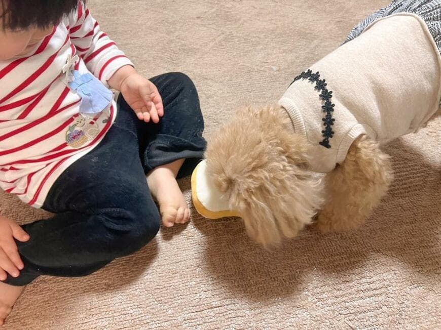 キャンドゥ「ペット用おもちゃ パン」