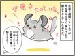 家で生まれたチンチラベビー。「やっぱり親子」と思うのは...【チンチライフ69話】