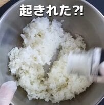 豆腐パックで作れちゃう！？時間がない朝に簡単【おにぎらず弁当】が話題
