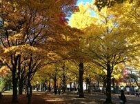 【たった3時間で変化】北海道大学のリアルに思わず目を疑う　「あっちゅうまですよね…」