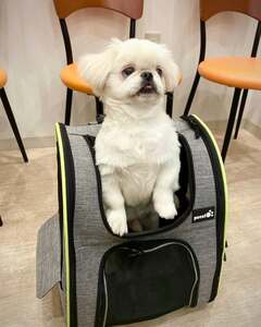 初めて動物病院に来たワンコがとった「まさかの行動」がジワジワくる