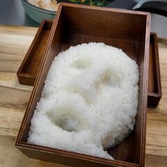 母の怒り炸裂！ホラーなデザインの【おふざけ弁当】娘をげんなりさせる見事な仕上がりにコメント続々！