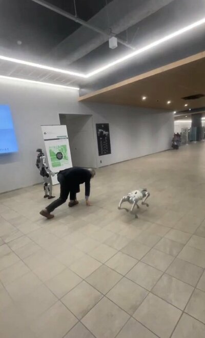スタートの様子