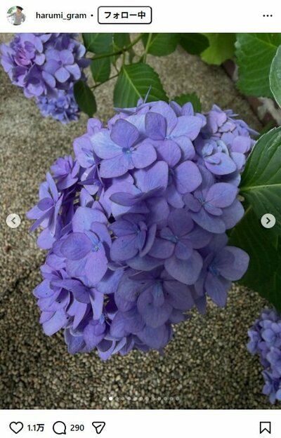 栗原はるみのInstagram投稿