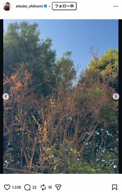 志穂美悦子のInstagram投稿