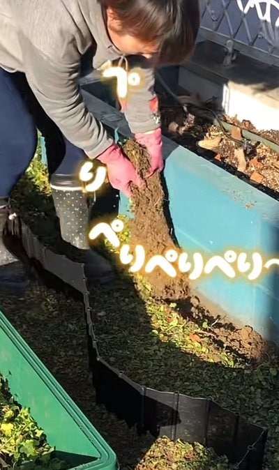 投稿動画のワンシーン